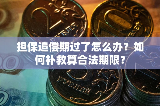济南担保追偿期过了怎么办？如何补救算合法期限？